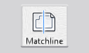 How to Use Matchline with View Reference in Revit